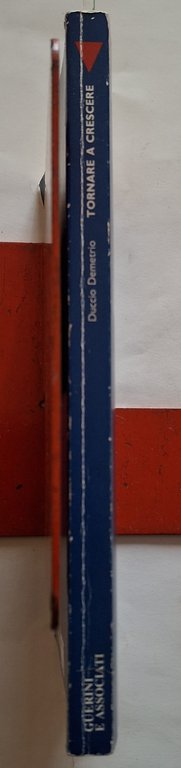 Tornare a crescere. L’età adulta tra persistenze e cambiamenti