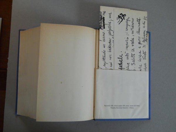 Terra vergine. Le novelle della Pescara. Giovanni Episcopo. Le vergini …