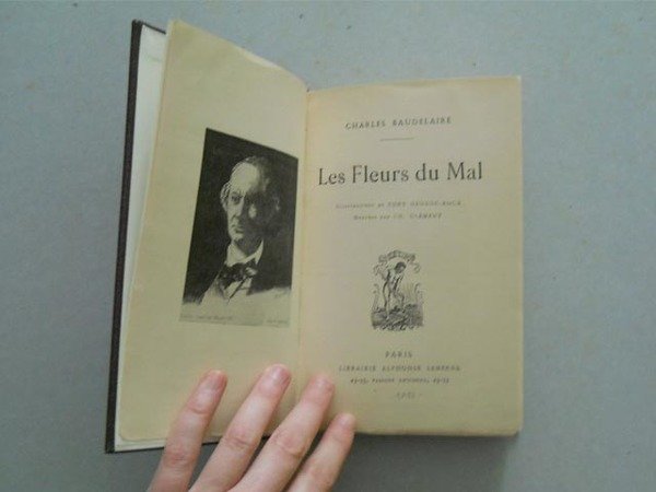 Les fleurs du mal.