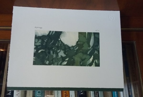 Taccuino di Kathmandu. Acquarelli.