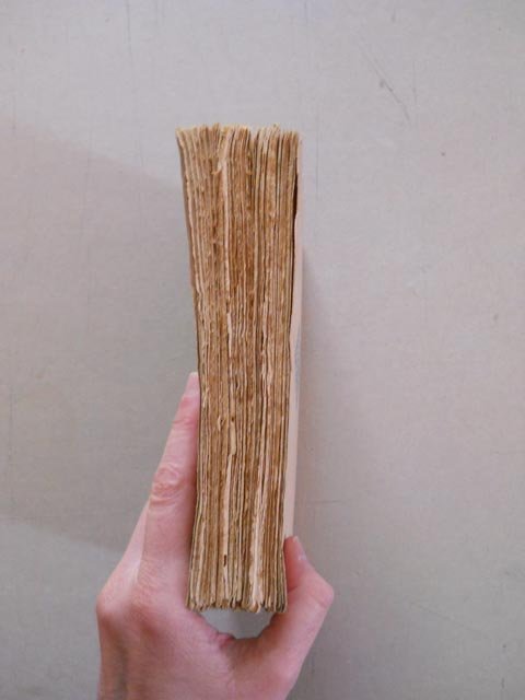 Gog. | Immagine Gallery 6