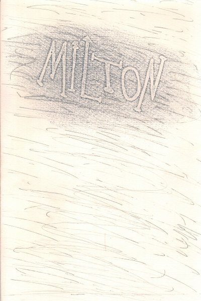 Milton con cinque acqueforti a colori | Immagine Gallery 1