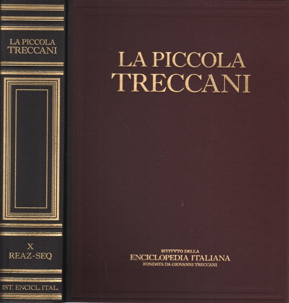La Piccola Treccani X Reaz-Seq