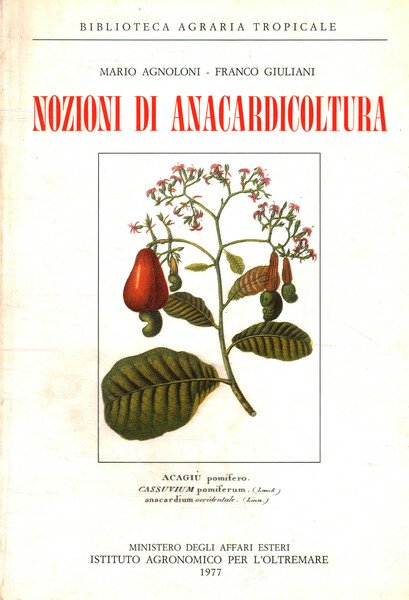 Nozioni di Anacardicoltura