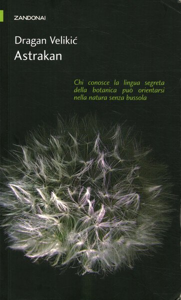 Astrakan | Immagine principale