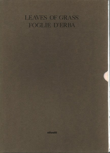 Leaves of grass - Foglie d'erba