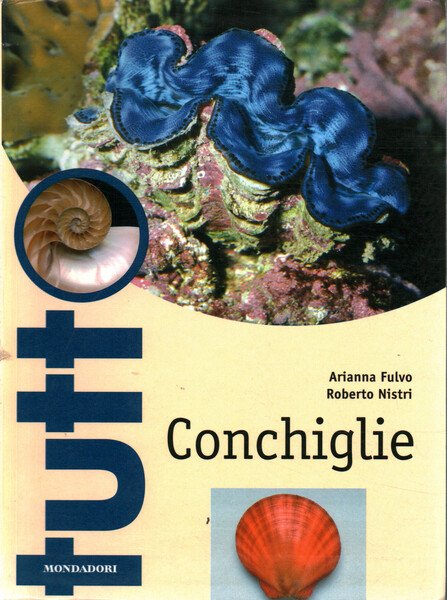 Conchiglie