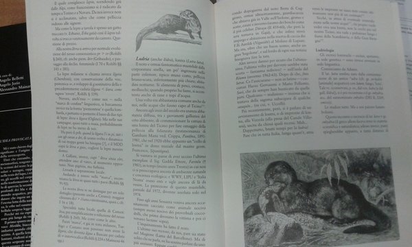 Bestiario ed erbario popolare