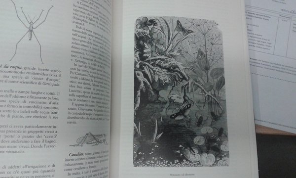Bestiario ed erbario popolare