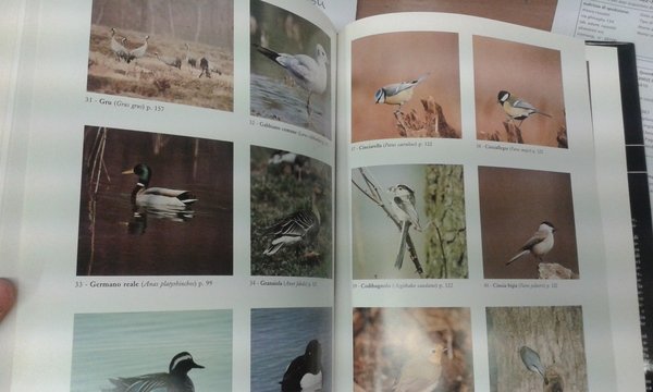 Bestiario ed erbario popolare