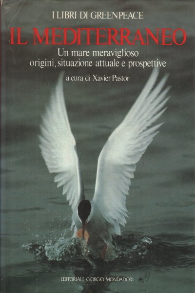 Il Mediterraneo