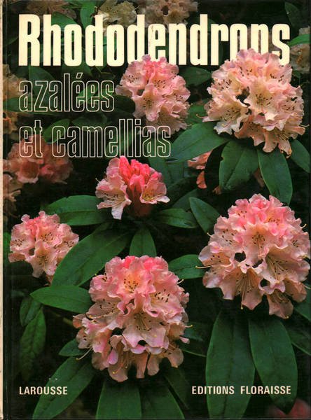 Rhododendrons, azalèes et camellias