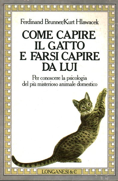 Come capire il gatto e farsi capire da lui