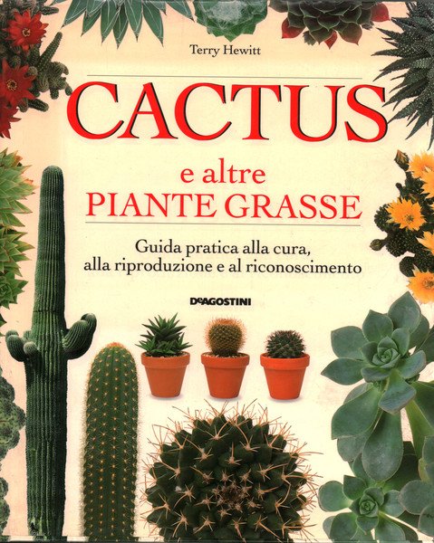 Cactus e altre piante grasse