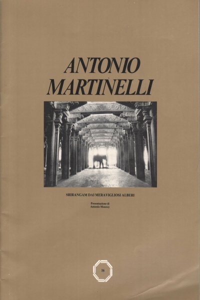 Antonio Martinelli: Srirangam dai meravigliosi alberi