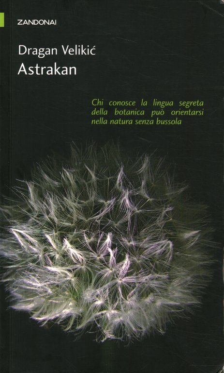 Astrakan | Immagine Gallery 2