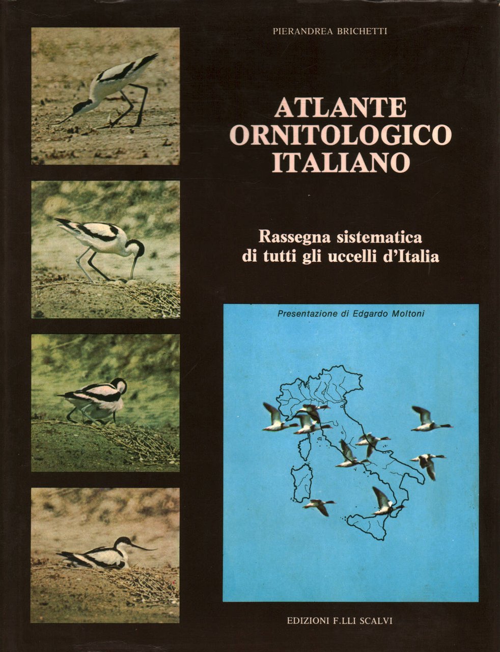 Atlante Ornitologico Italiano (1 Volume)