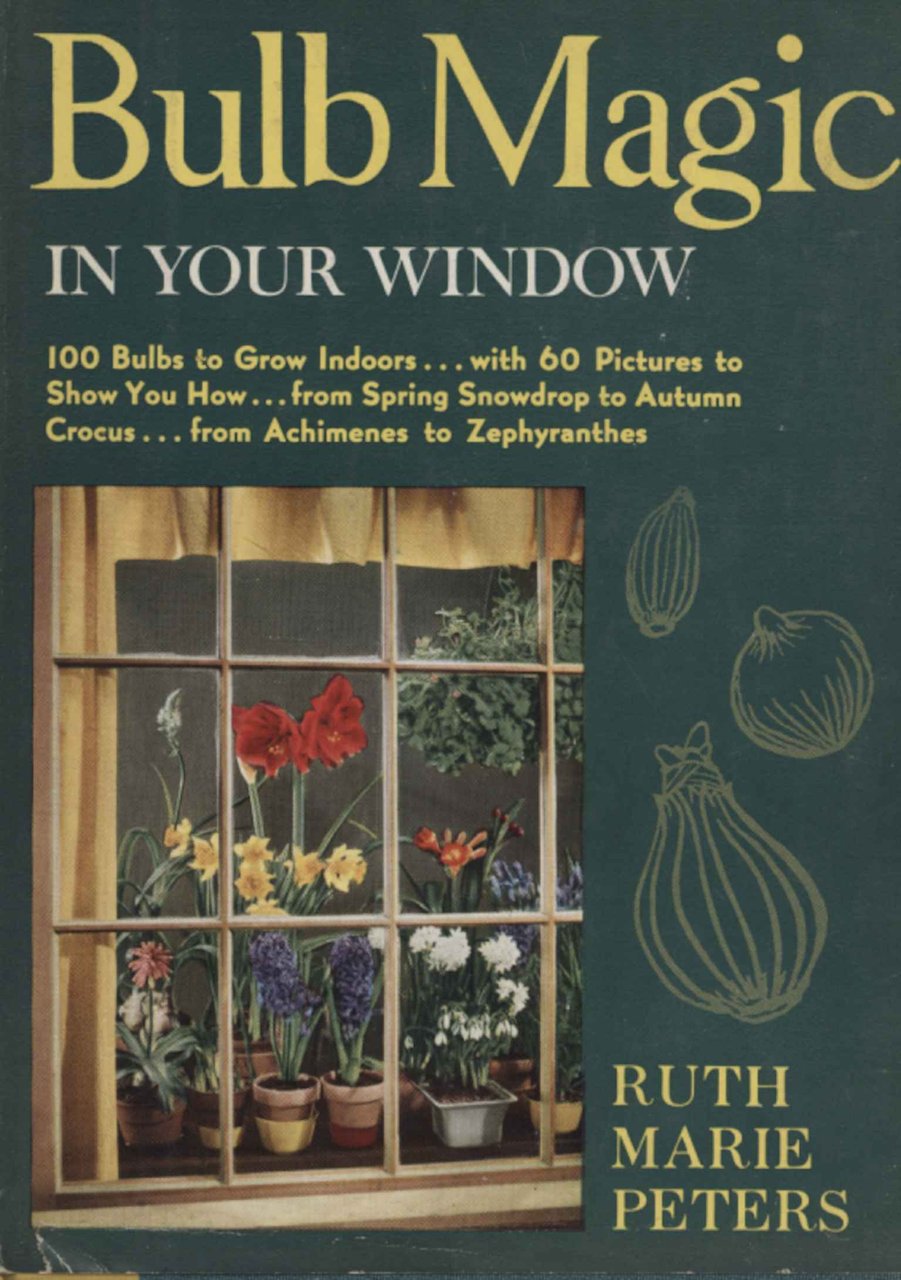 Bulb Magic in Your Window