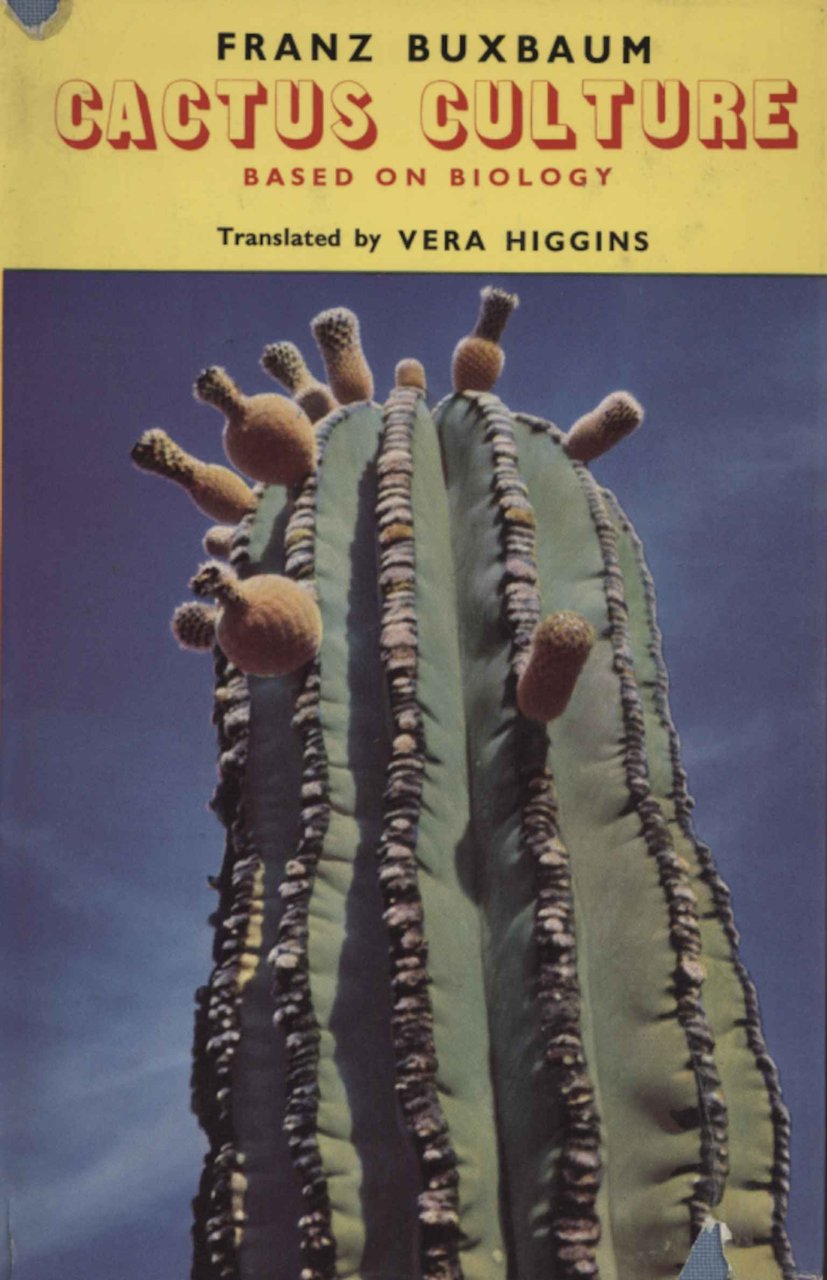 Cactus culture | Immagine principale