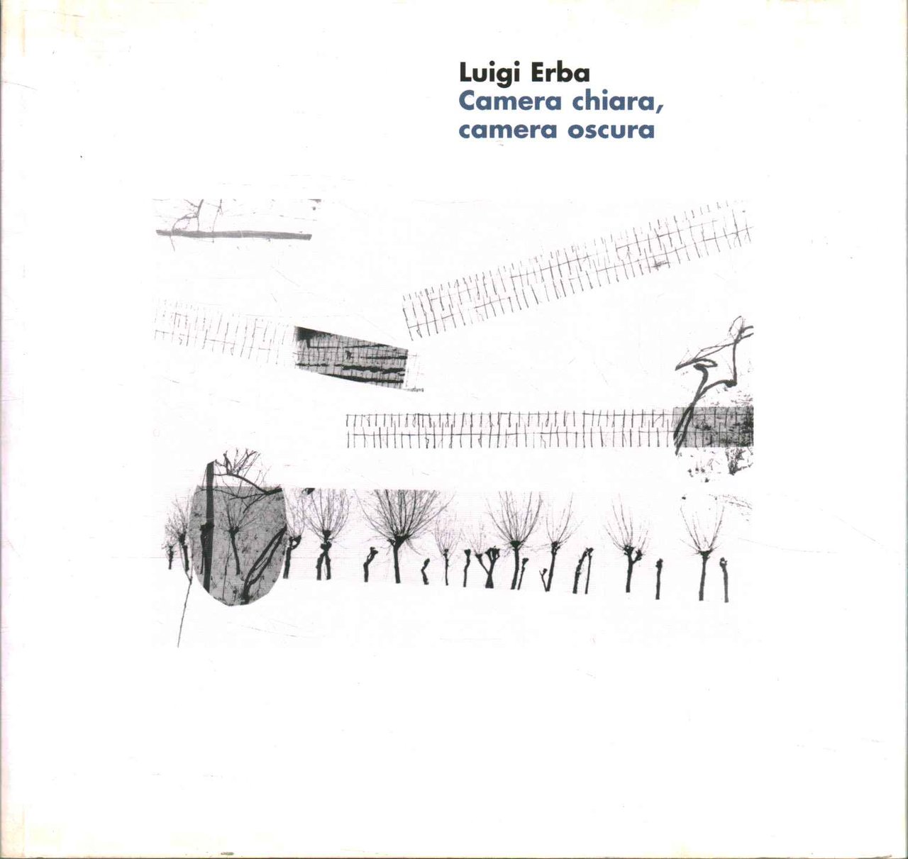 Camera chiara, camera oscura