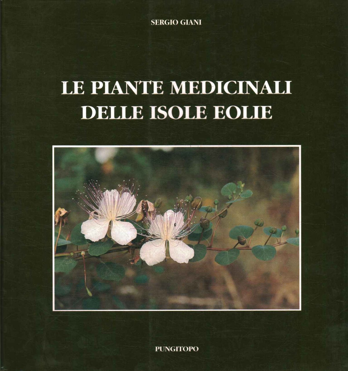 Capo Horn alla vela | Immagine principale