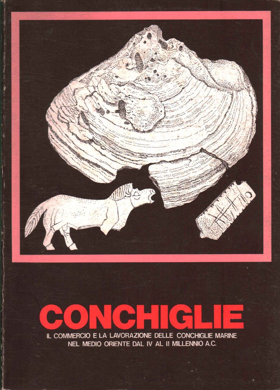 Conchiglie