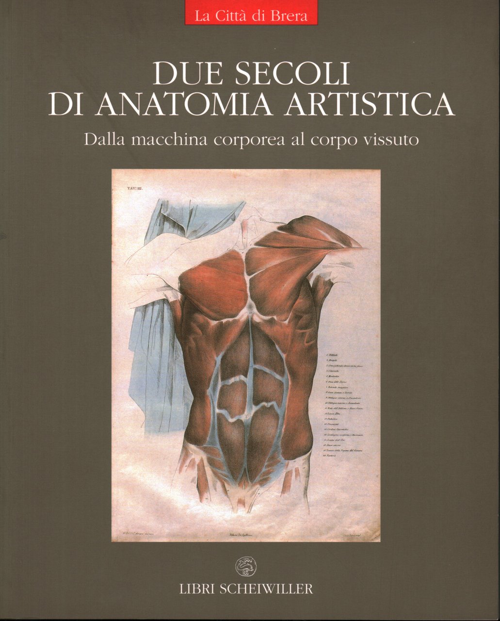 Due secoli di anatomia artistica | Immagine principale