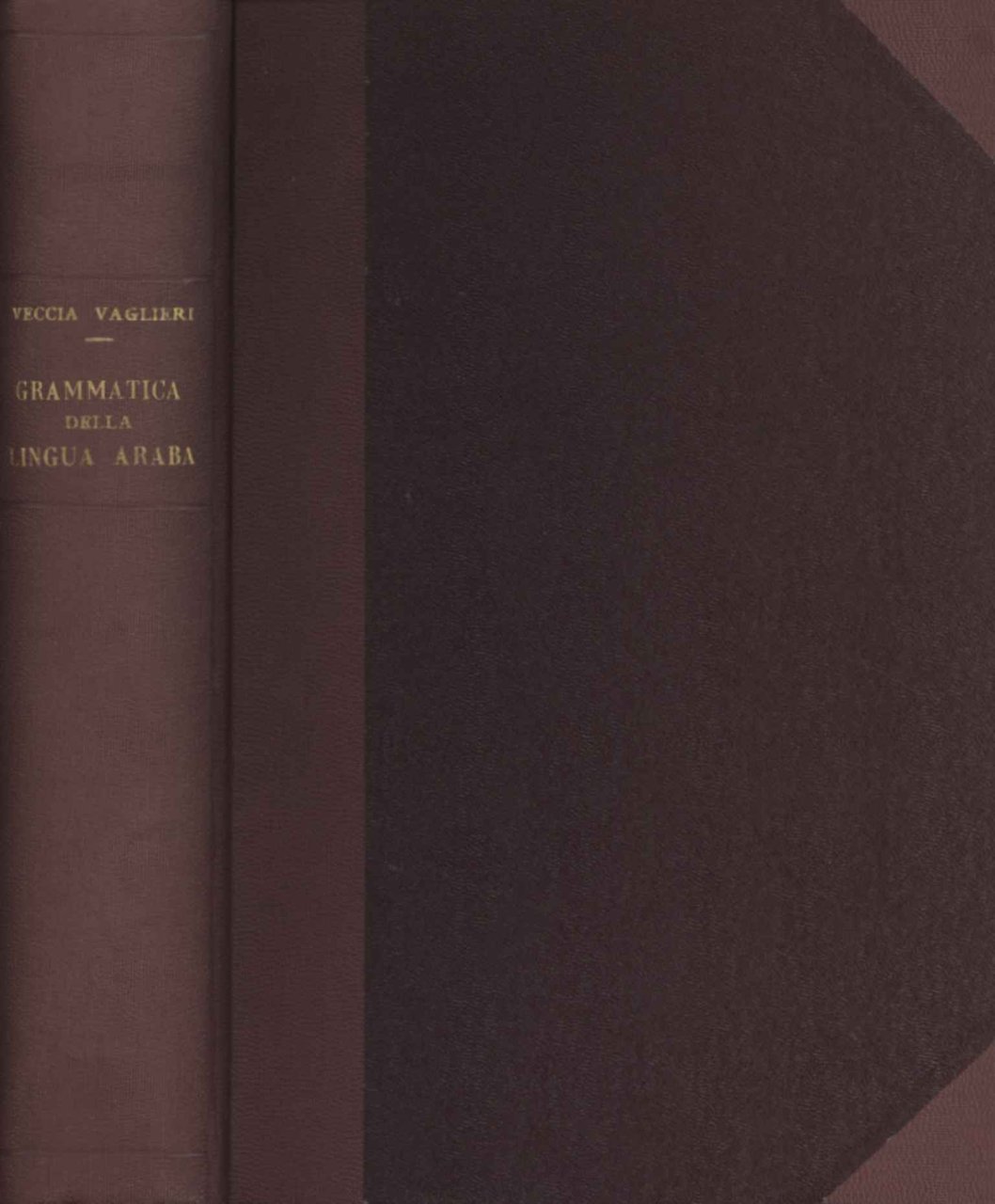 Grammatica teorico-pratica della lingua araba (Volume I)