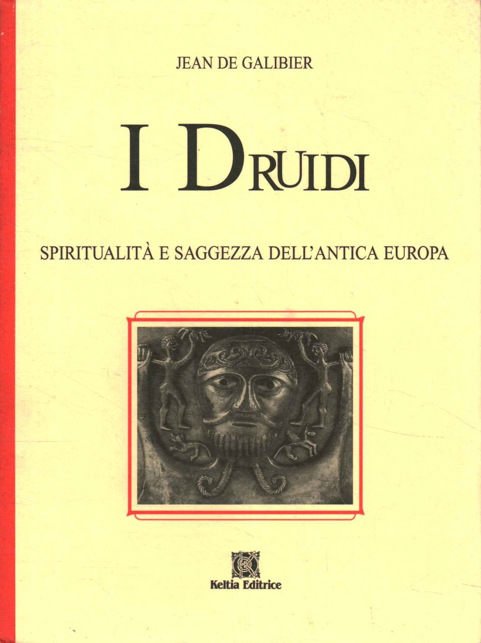 I druidi