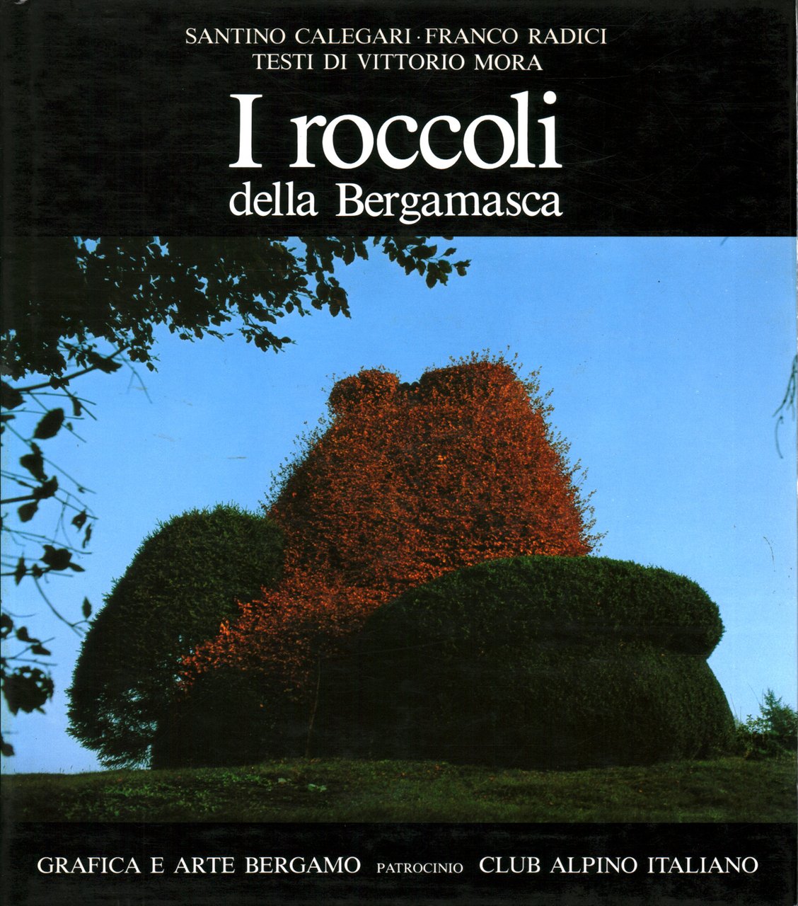 I roccoli della Bergamasca