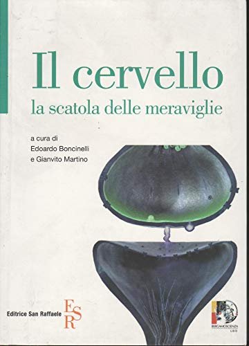 Il cervello la scatola delle meraviglie