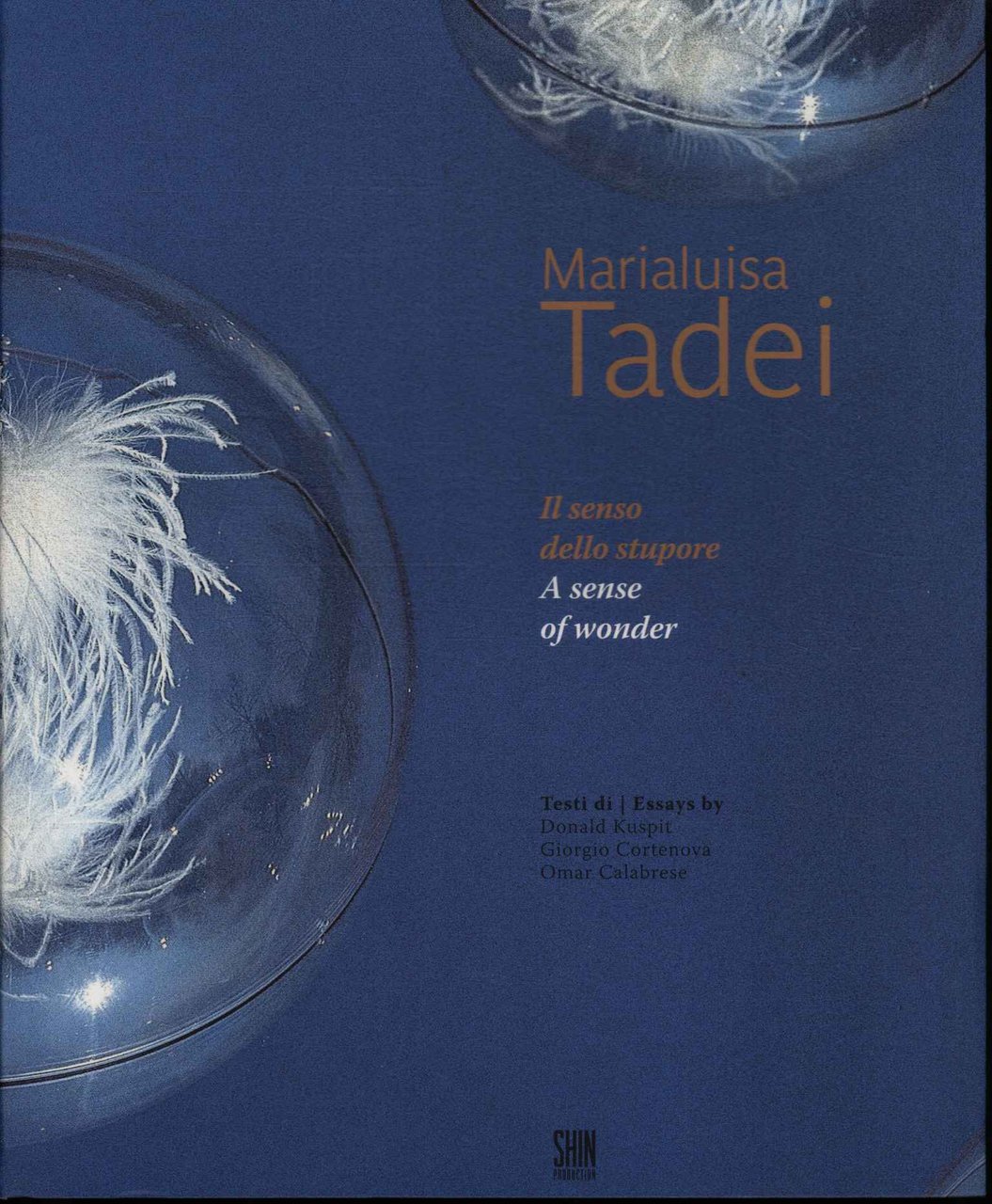 Il senso dello stupore