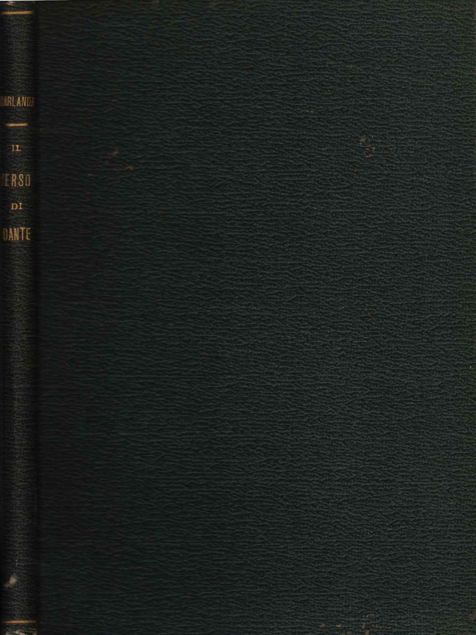 Il verso di Dante | Immagine principale