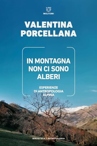 In montagna non ci sono alberi