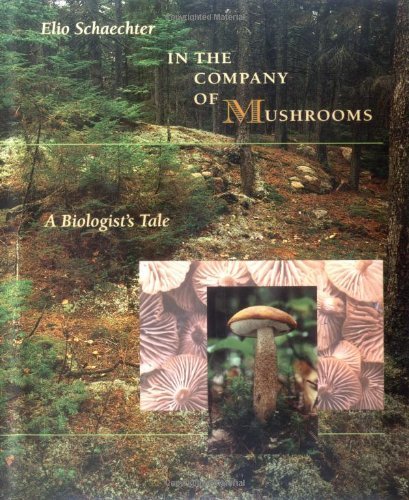 In the Company of Mushrooms