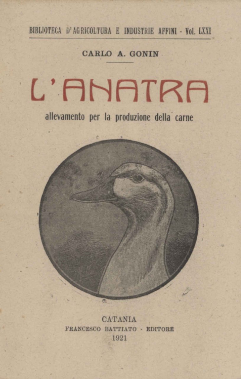 L'anatra | Immagine principale