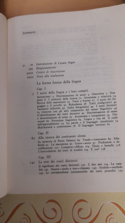 La forma fonica della lingua