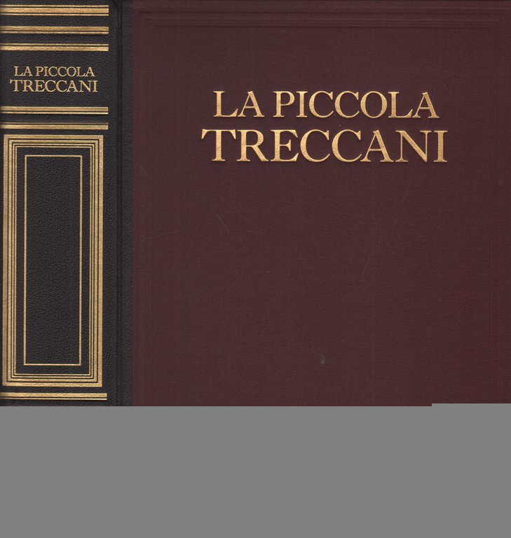 La Piccola Treccani V Game-Intere