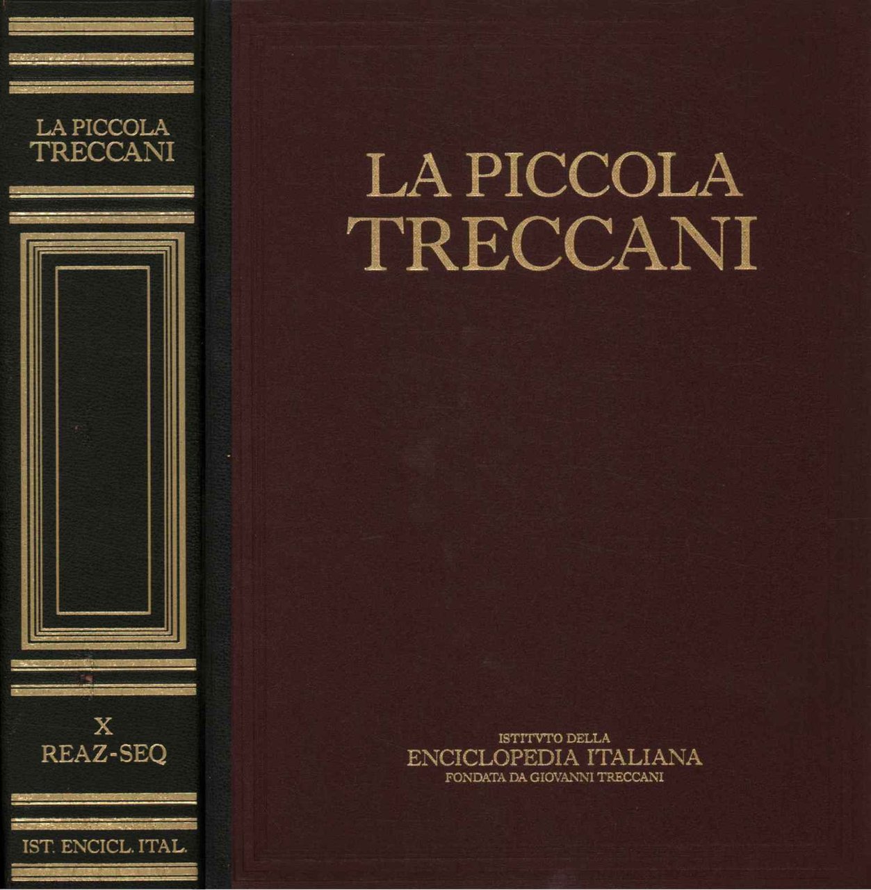 La Piccola Treccani X Reaz-Seq