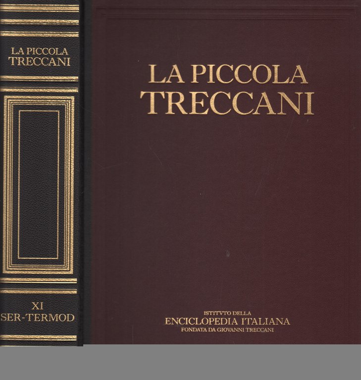 La Piccola Treccani XI Ser-Termod