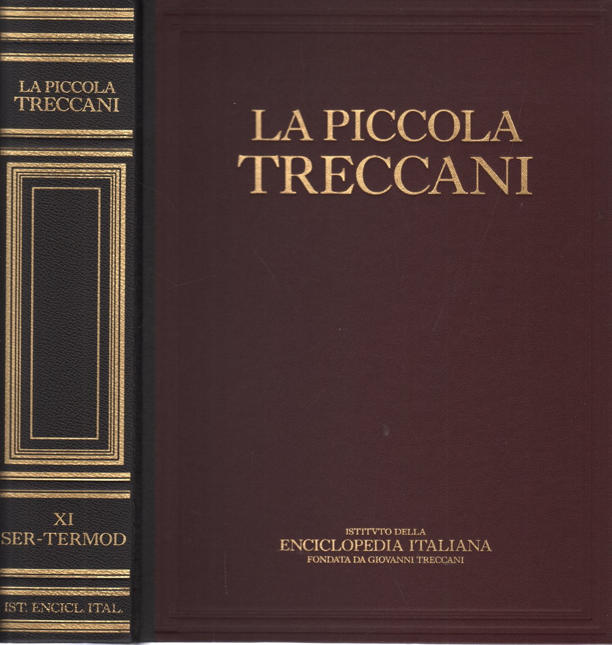 La Piccola Treccani XI Ser-Termod