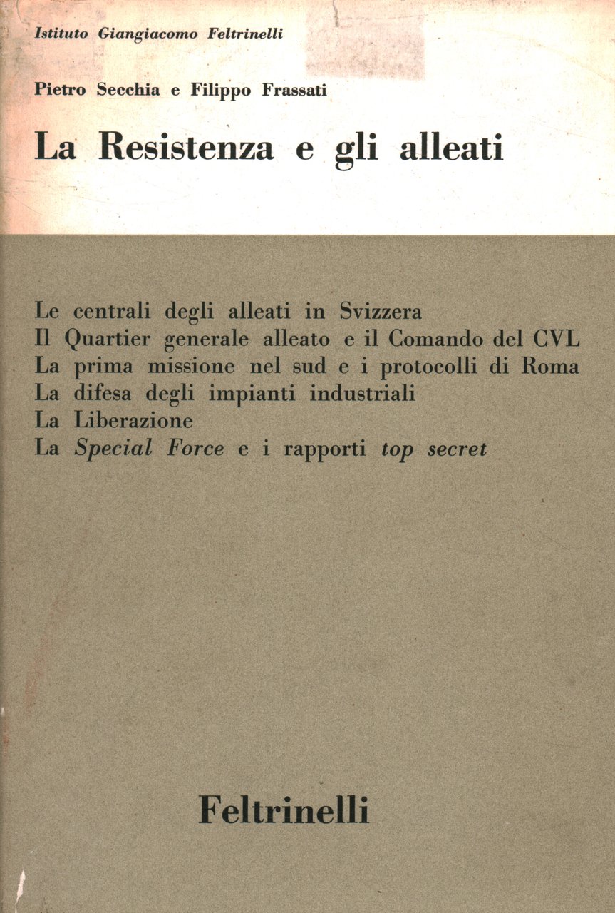 La Resistenza e gli alleati