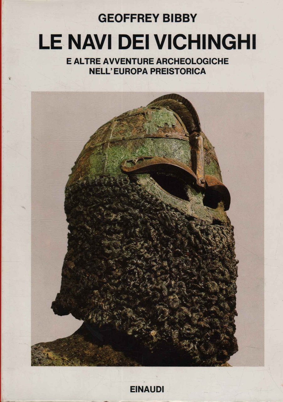 Le navi dei Vichinghi