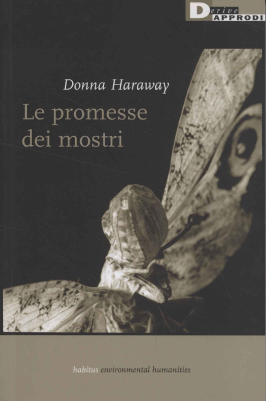 Le promesse dei mostri | Immagine principale