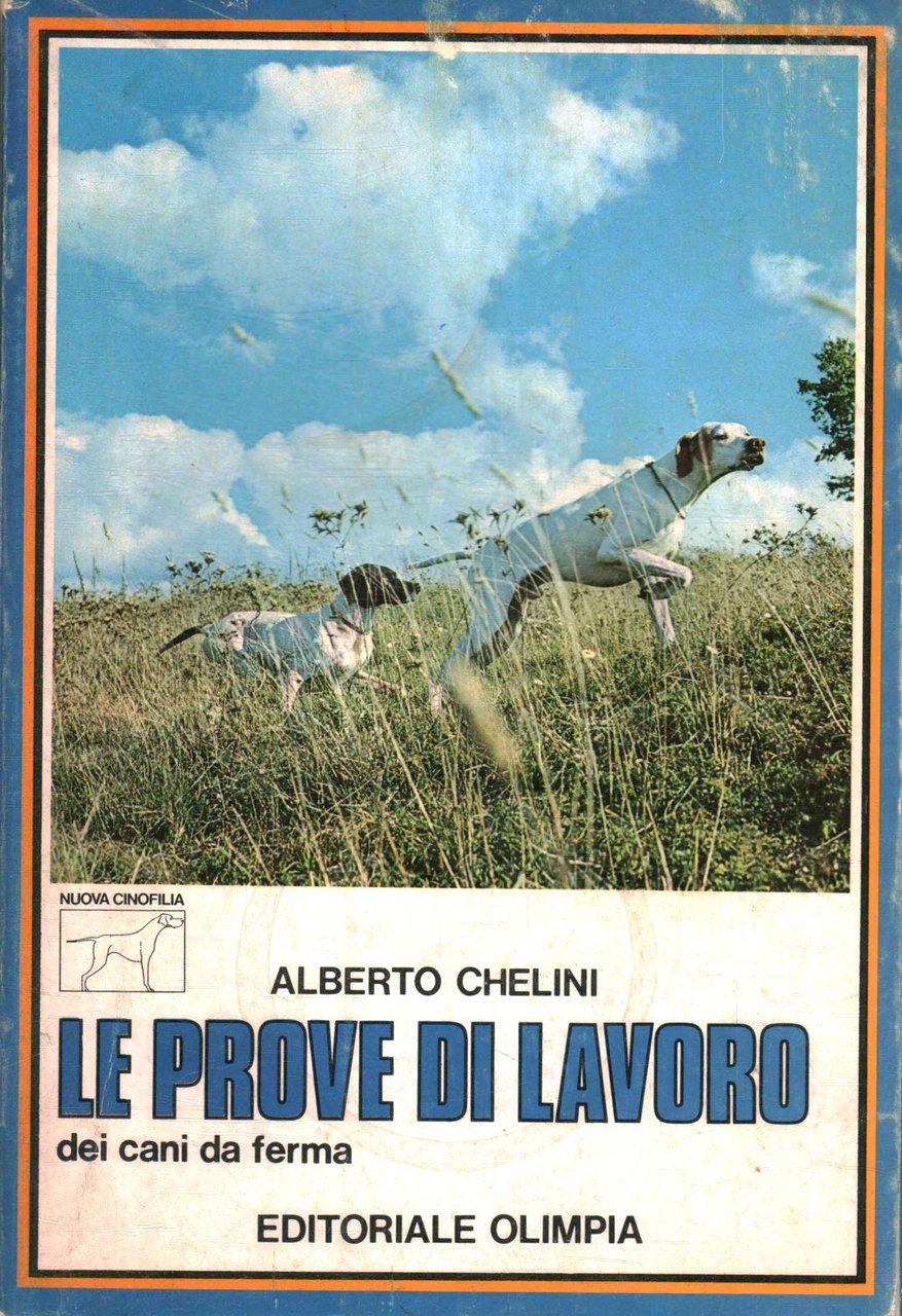 Le prove di lavoro dei cani da ferma | Immagine principale