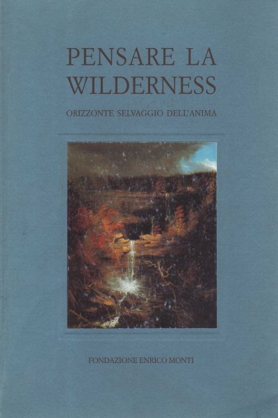 Pensare la wilderness