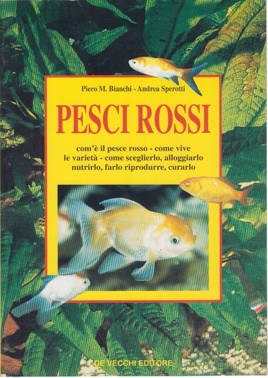 Pesci rossi | Immagine Gallery 2