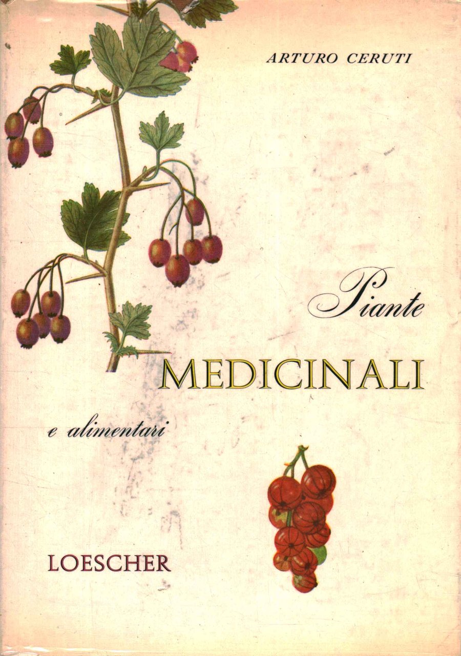 Piante medicinali e alimentari | Immagine principale