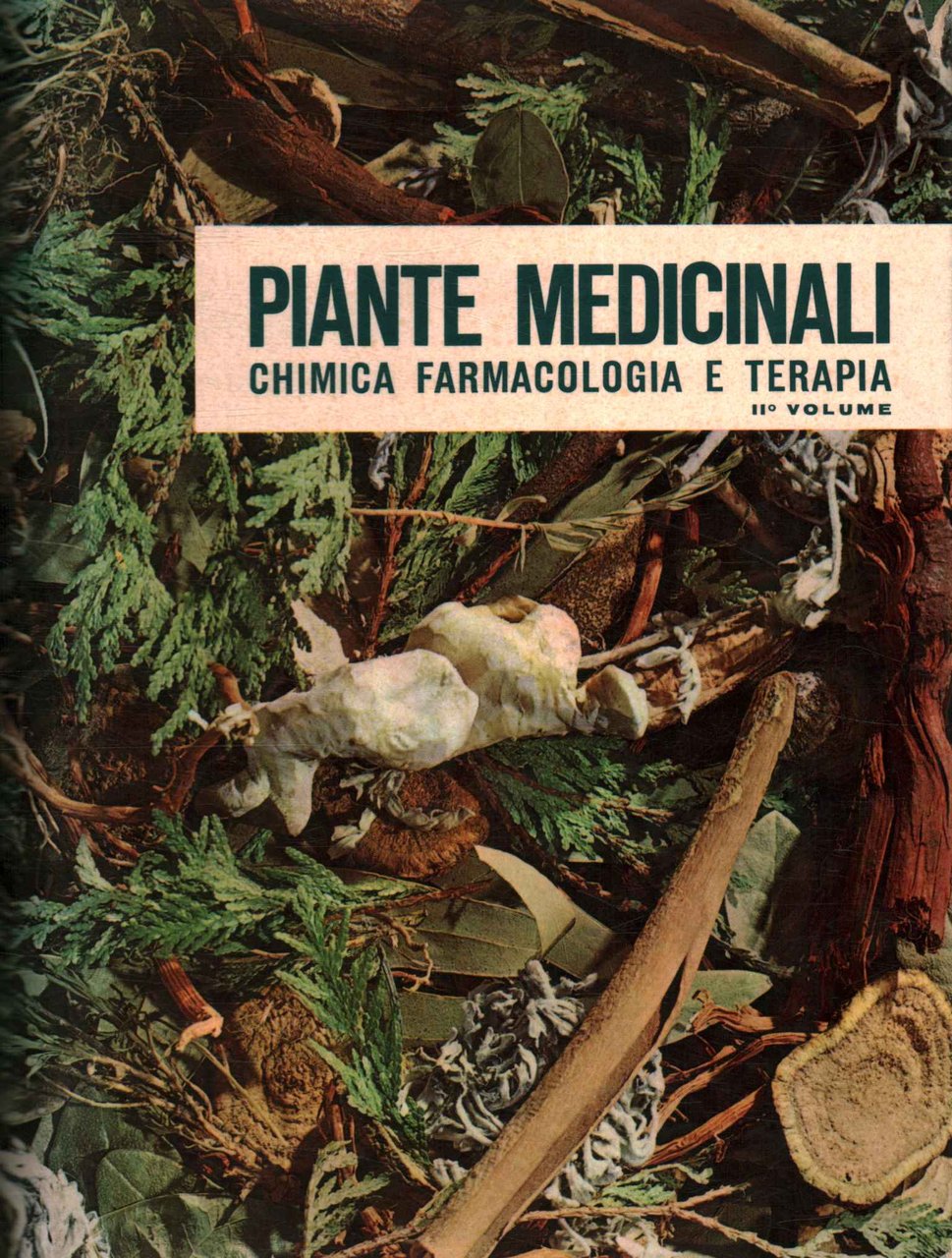 Piante medicinali (II Volume)