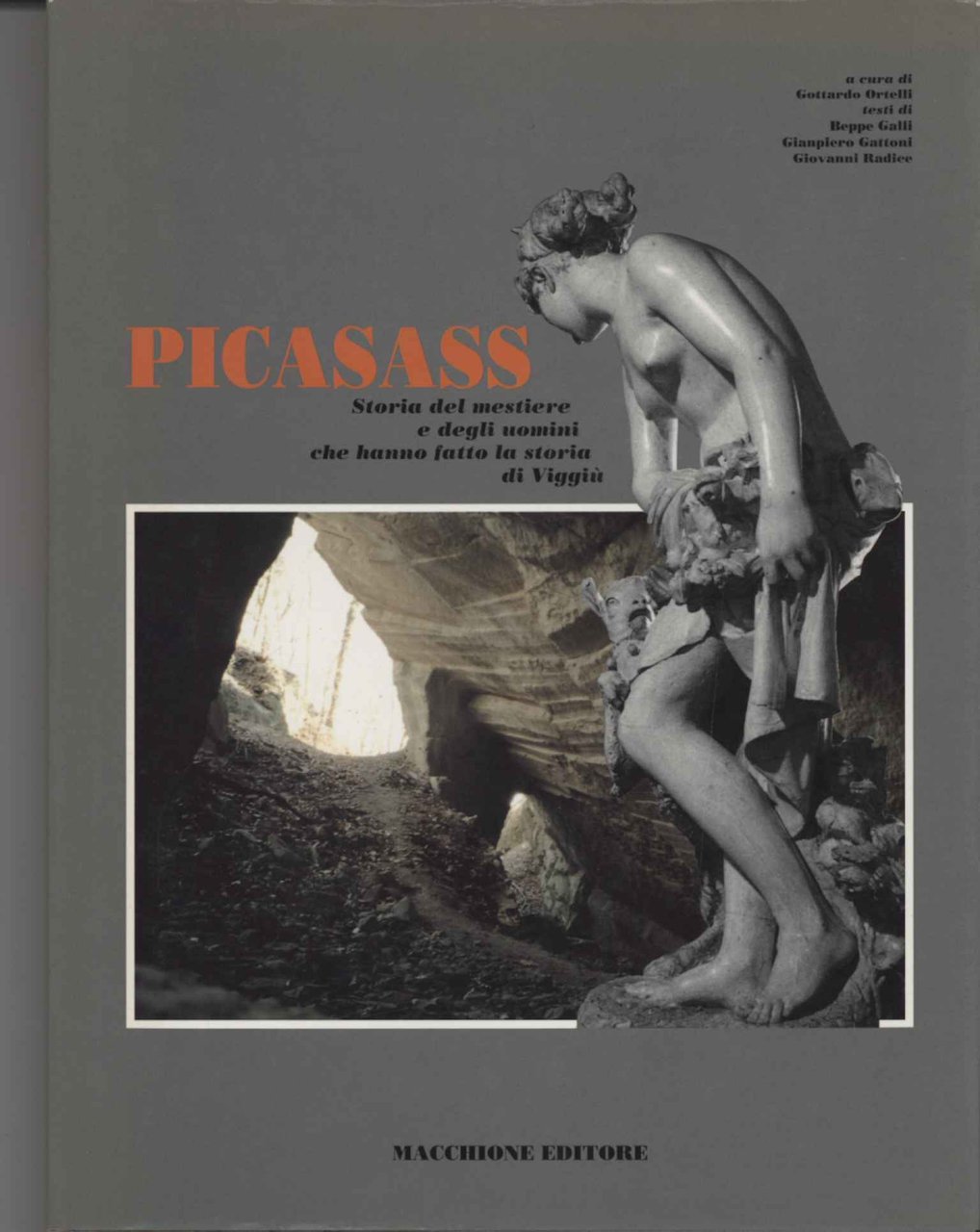 Picasass